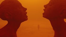 Clearing the haze: Climate change and pollution in film and your home’s air purity solution